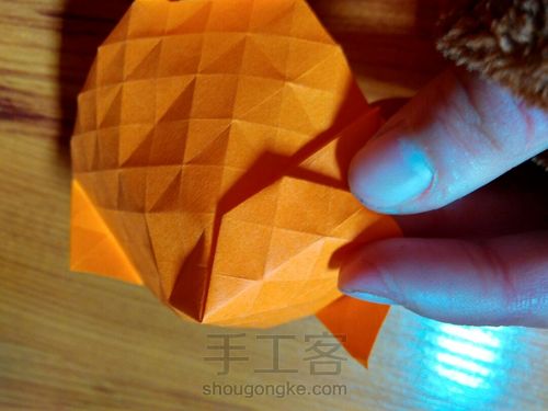 有叶子的玫瑰哦 第11步