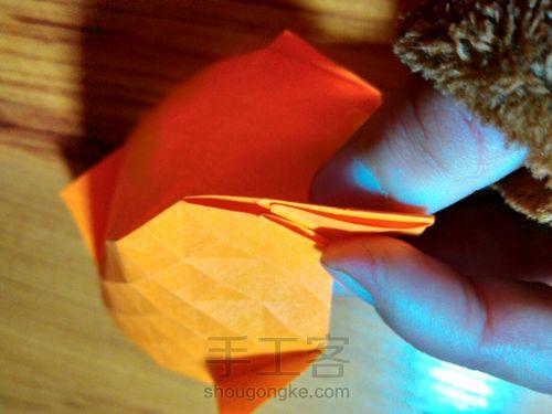 有叶子的玫瑰哦 第12步