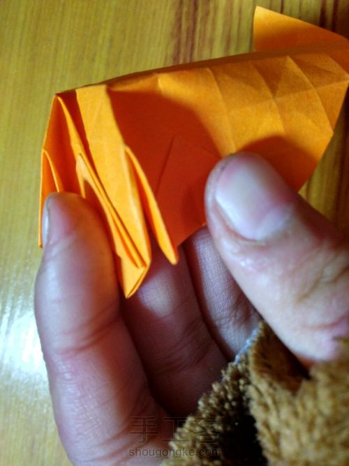 有叶子的玫瑰哦 第14步