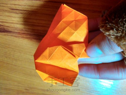 有叶子的玫瑰哦 第17步