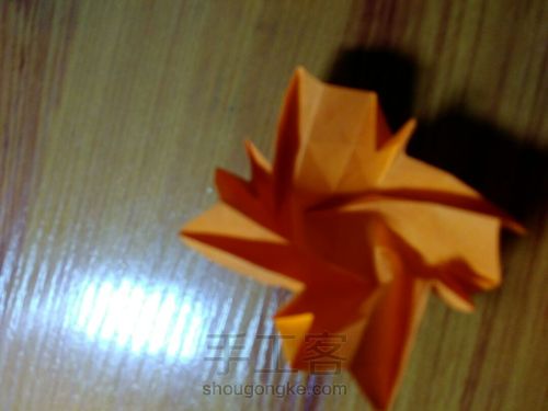 有叶子的玫瑰哦 第18步