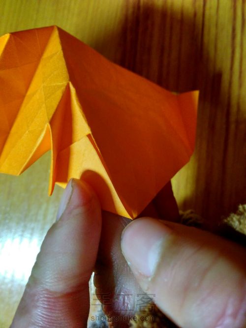 有叶子的玫瑰哦 第19步