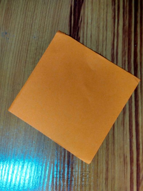 有叶子的玫瑰哦 第2步