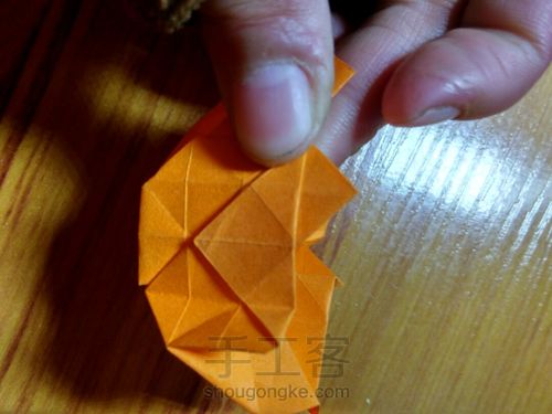 有叶子的玫瑰哦 第21步