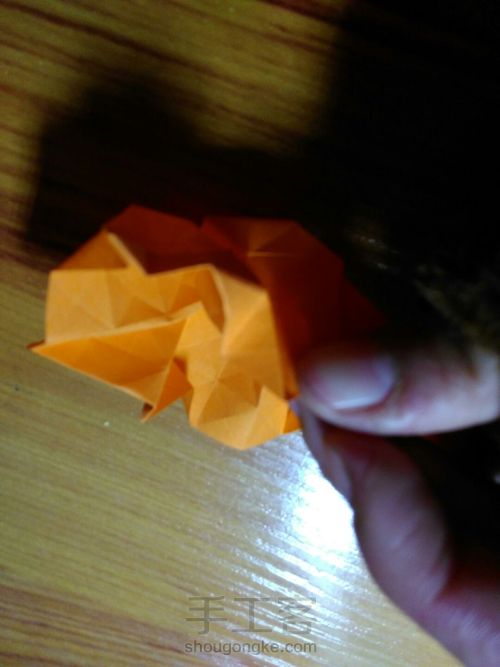 有叶子的玫瑰哦 第22步