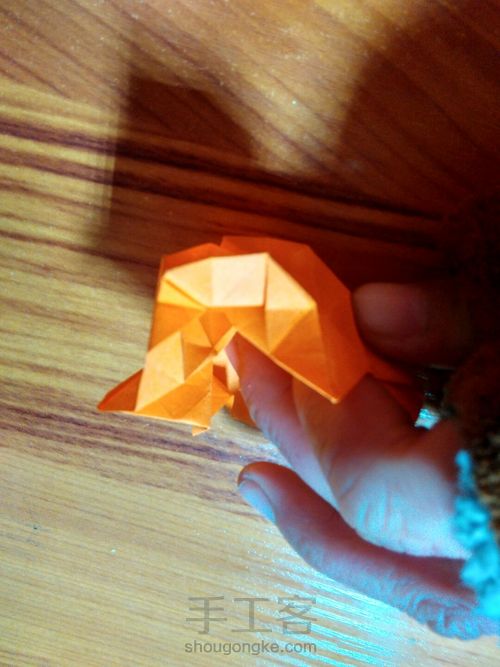 有叶子的玫瑰哦 第24步