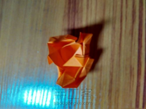 有叶子的玫瑰哦 第27步