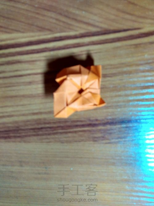 有叶子的玫瑰哦 第28步