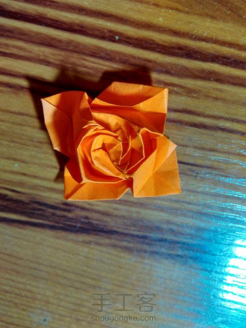有叶子的玫瑰哦 第30步