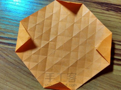 有叶子的玫瑰哦 第8步