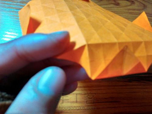 有叶子的玫瑰哦 第9步