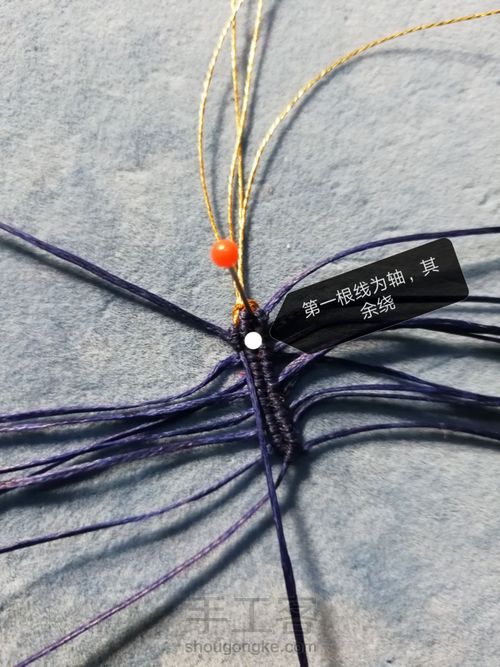 带金边的莲花(上) 第10步