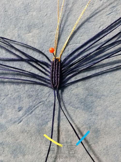 带金边的莲花(上) 第12步