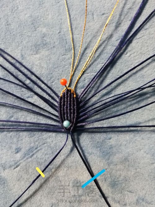 带金边的莲花(上) 第14步