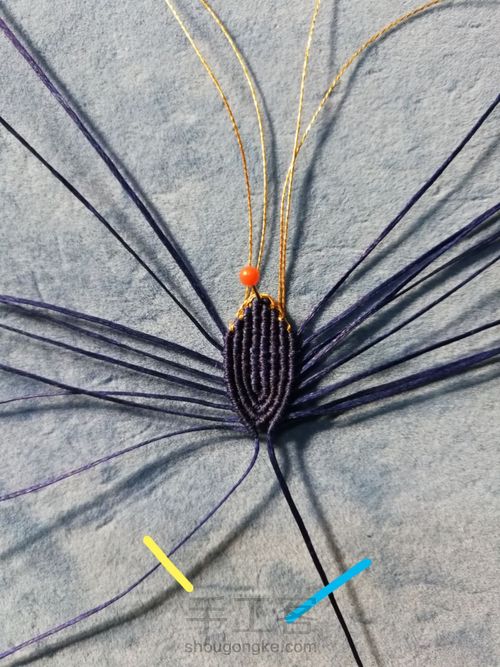 带金边的莲花(上) 第16步