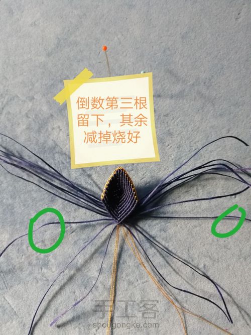 带金边的莲花(上) 第22步