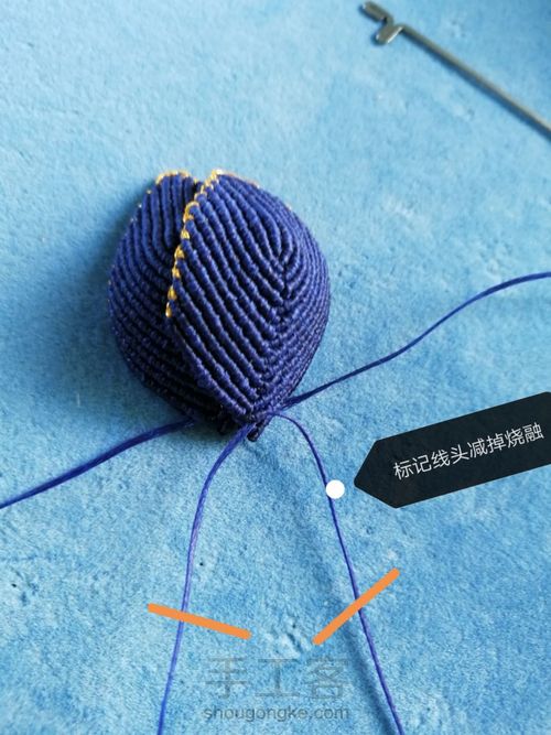 带金边的莲花(上) 第27步