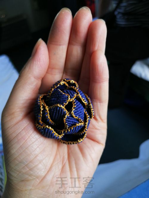 带金边的莲花(上) 第29步