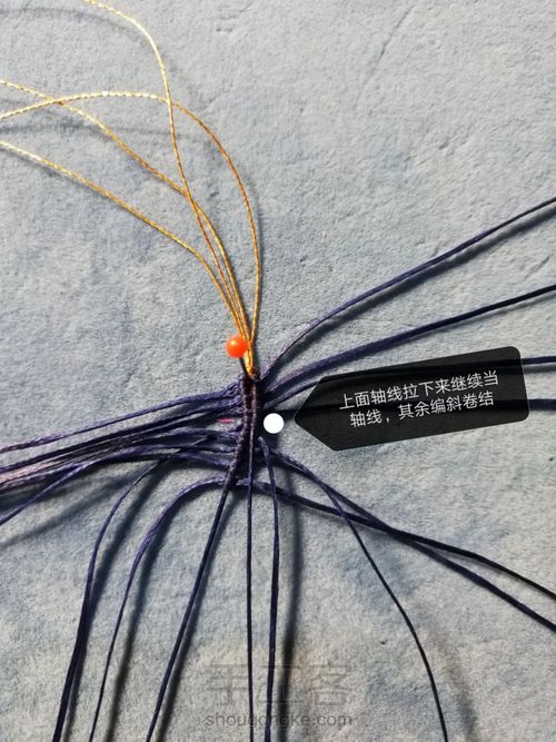 带金边的莲花(上) 第5步