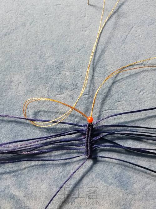 带金边的莲花(上) 第7步