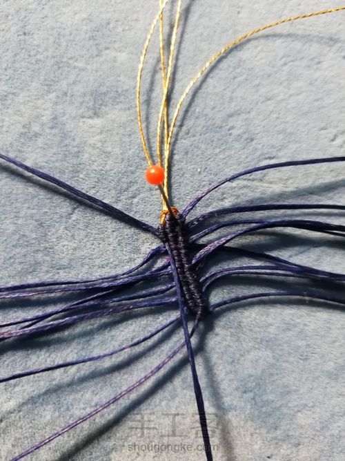 带金边的莲花(上) 第9步