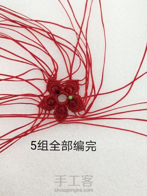 带金边的莲花(中) 第12步