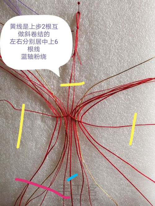 带金边的莲花(下) 第3步