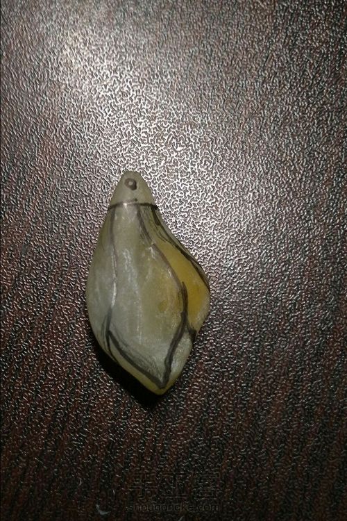 作为雕民,怎能不雕(叼)个花😁 第3步