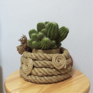 百变麻绳1花盆、收纳筐