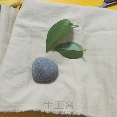 植物染【绿萝叶】 第1步