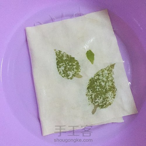 植物染【绿萝叶】 第8步