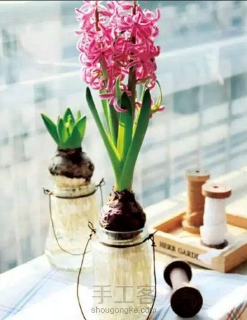 【梦姐·手工】教你在家DIY~水培植物盆栽の微型花园！ 第10步