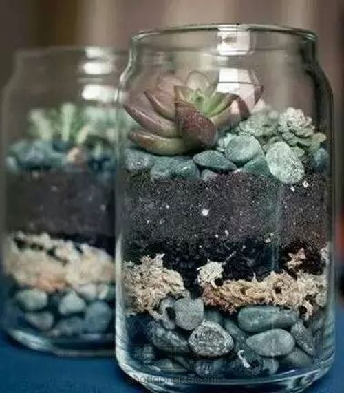 【梦姐·手工】教你在家DIY~水培植物盆栽の微型花园！ 第16步