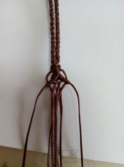 枯木逢春，欣欣向荣 第5步