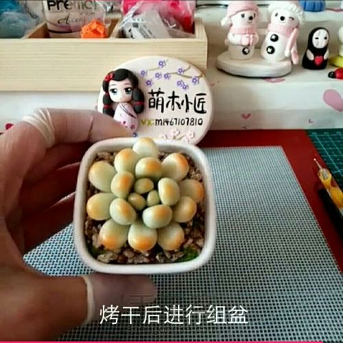 软陶多肉绿豆教程 第16步