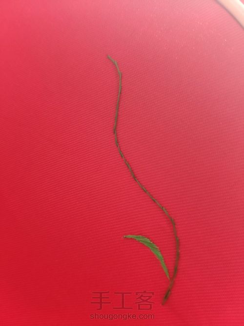 蜀绣-基础 平针叶子 第5步