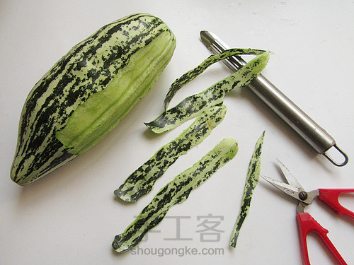 章鱼和宝宝出游记 第10步