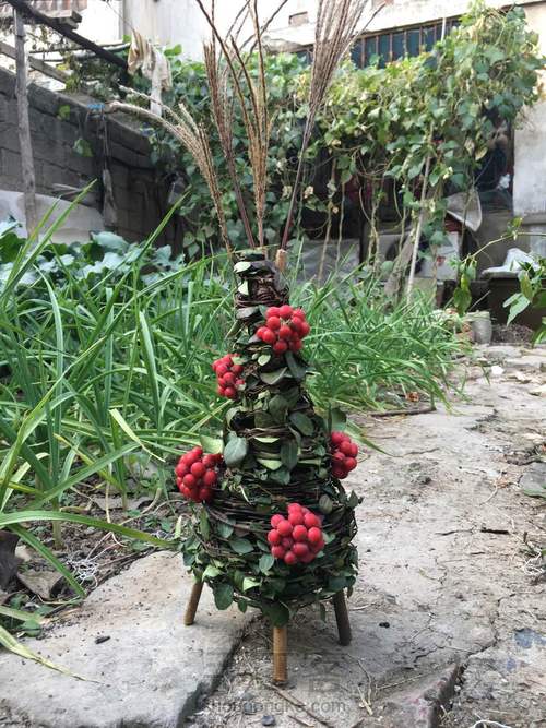 提前到来的圣诞树 第18步