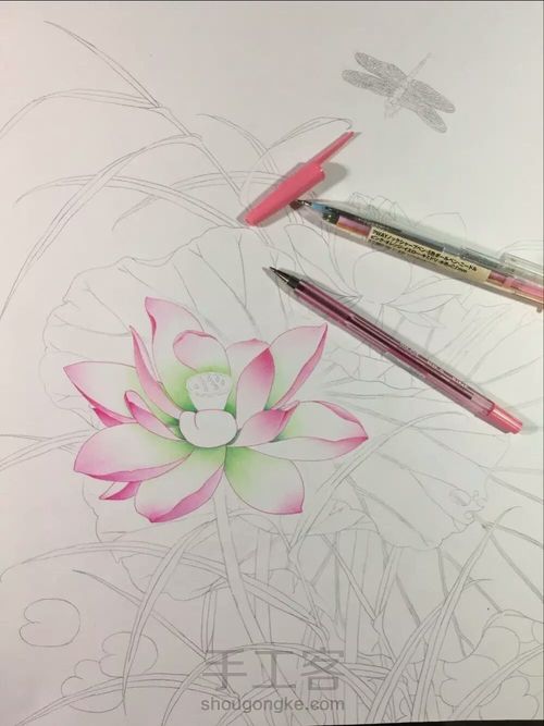 圆珠笔绘画工笔荷花图 第2步