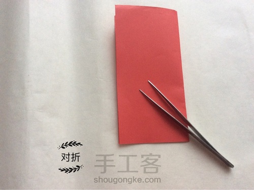 凡尔赛玫瑰花球 第1步