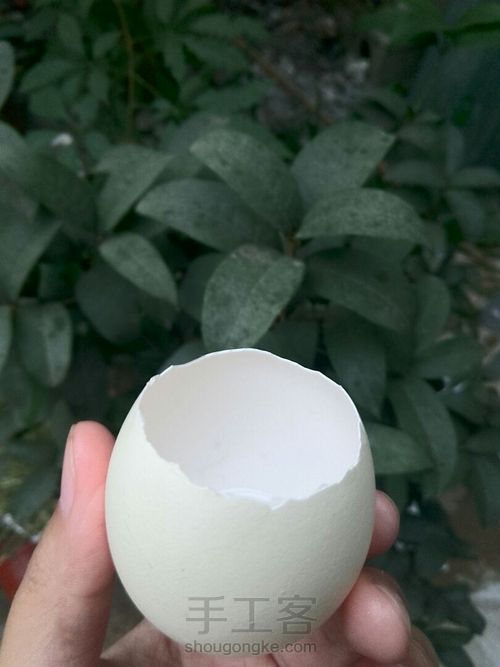 蛋壳可爱小桌景～ 第1步