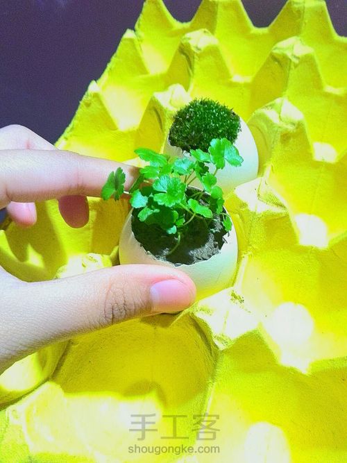 蛋壳可爱小桌景～ 第3步