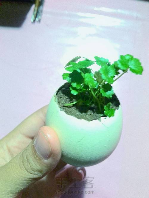 蛋壳可爱小桌景～ 第4步