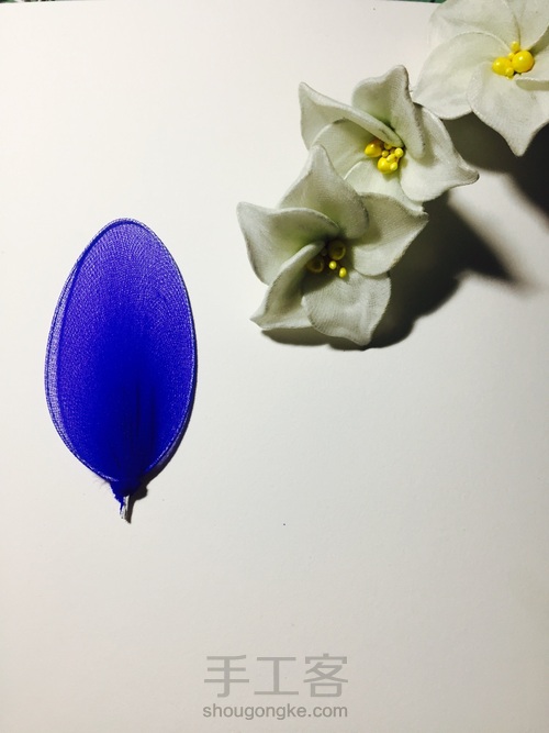 丝网蓝色小精灵 第4步