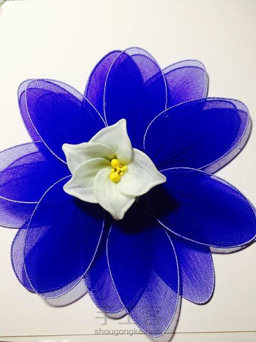 丝网蓝色小精灵 第5步