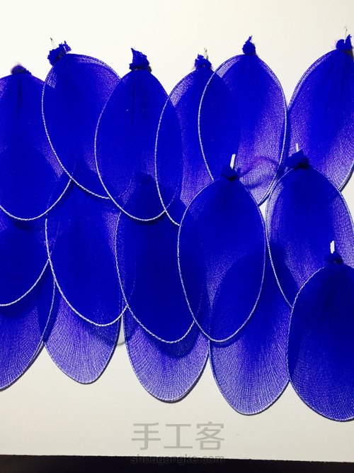 丝网蓝色小精灵 第6步