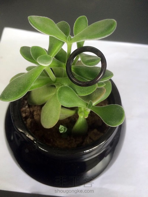 戒指，为你守护～ 第6步