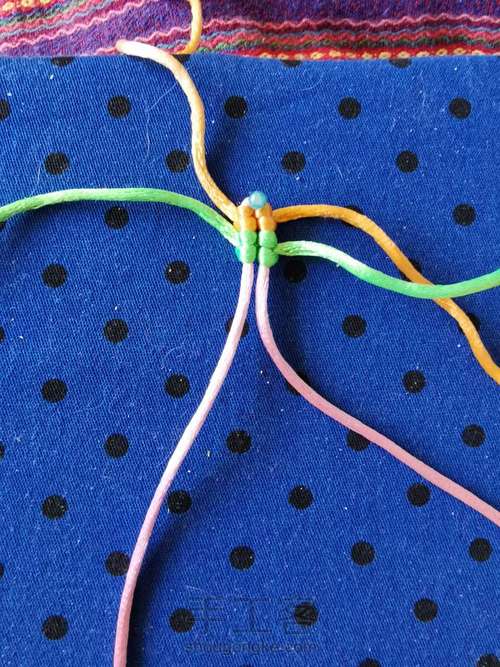 变色七色堇 第2步