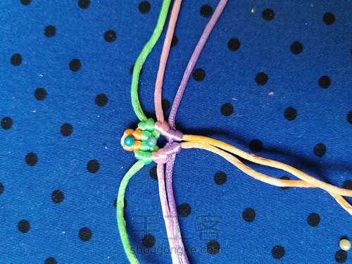 变色七色堇 第4步