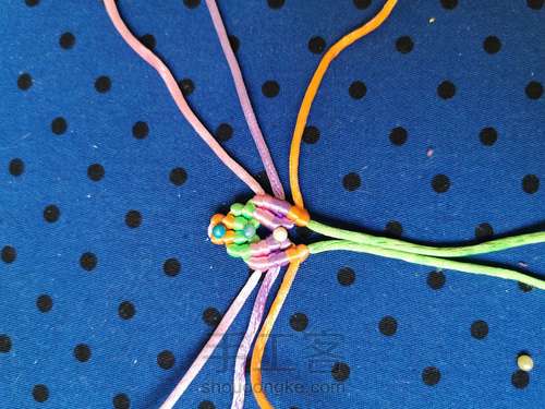 变色七色堇 第5步